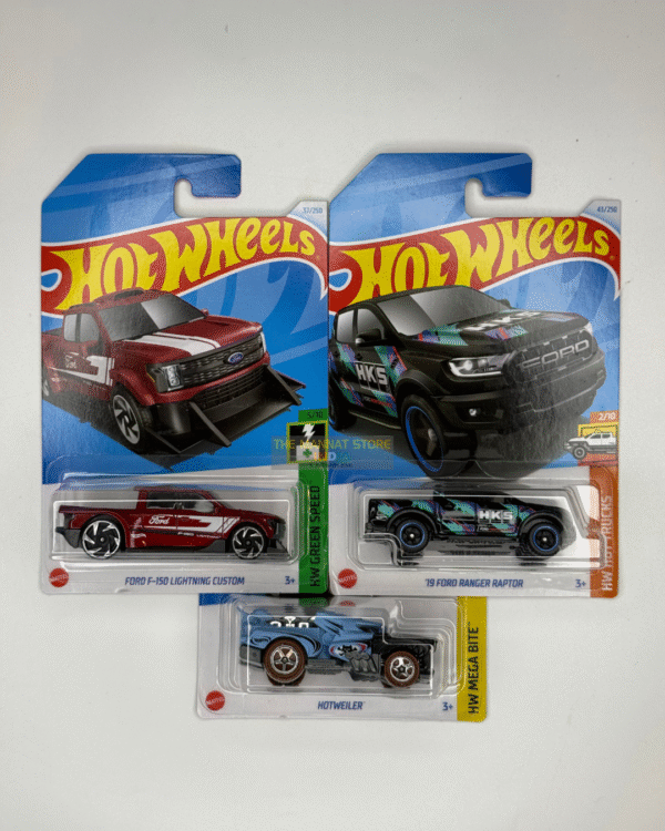 Hot Wheels 2024 C Case – Set of 3 (Ford F-150 Lightning Custom, ’19 Ford Ranger Raptor, Hotwheeler)