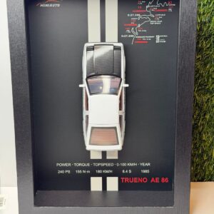 3D Car Frame Wall Art | Wooden Frame with Removable Die-Cast Cars TRUENO